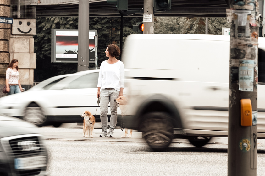 Eine Frau steht mit zwei Hunden an einer Ampel – aufmerksam, ohne dass sie sitzen müssen. 