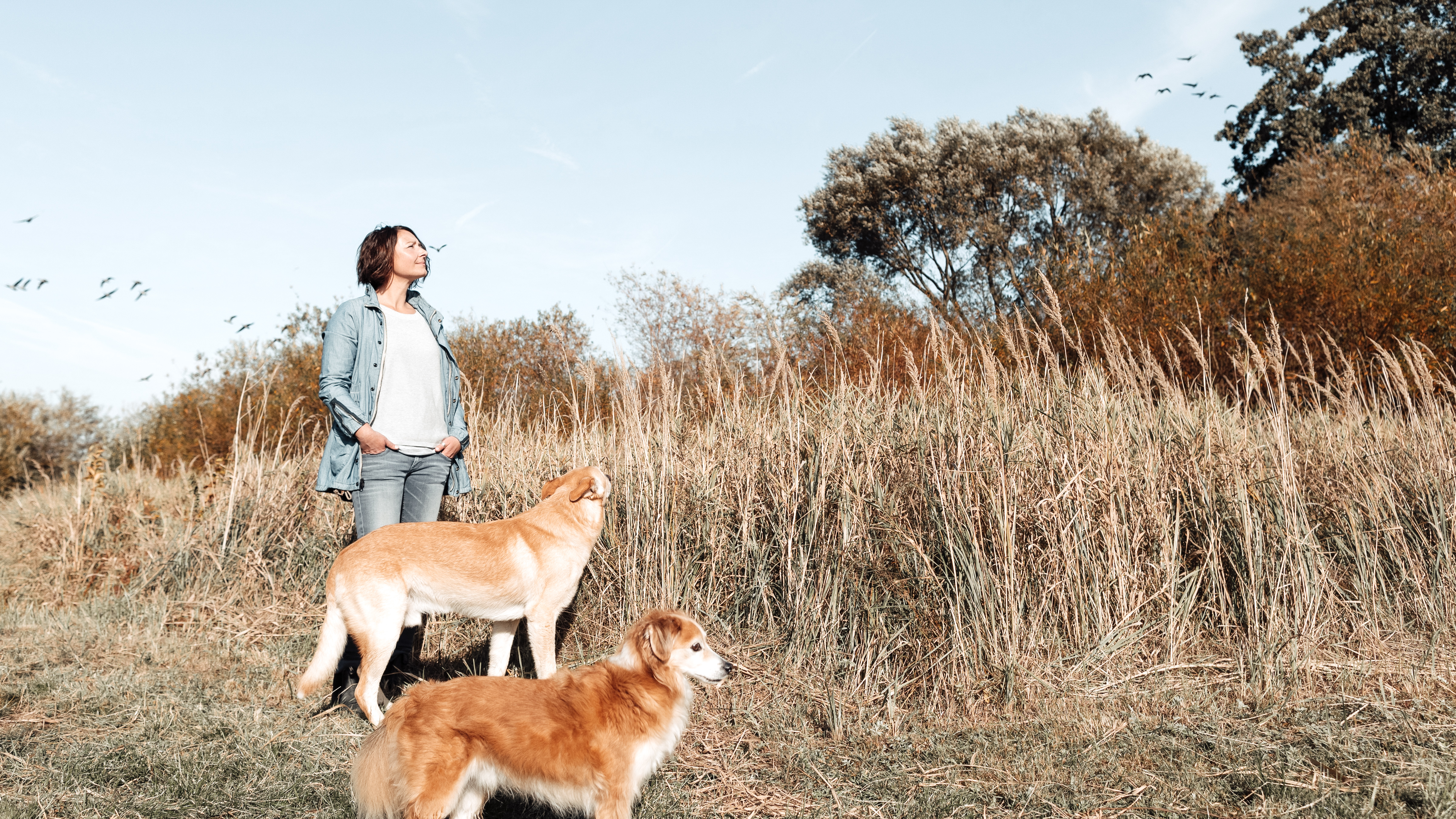 Eine Frau mit zwei Hunden steht still vor hohem Gras und schaut ruhig in die Ferne. 