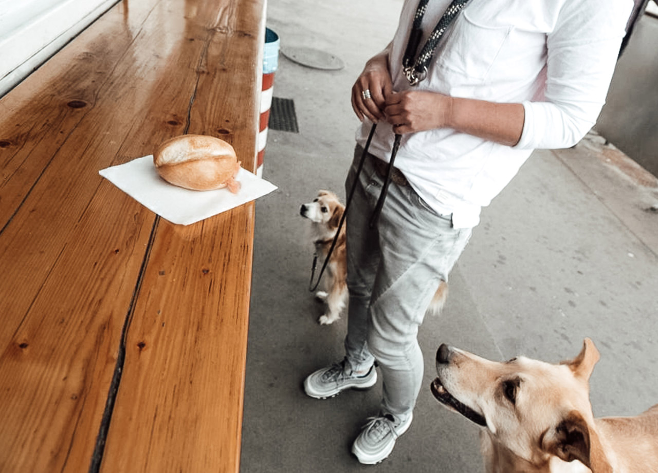 Hundetraining-Hamburg-01_0001_PHOTO-2025-08-02-22-22-28-2