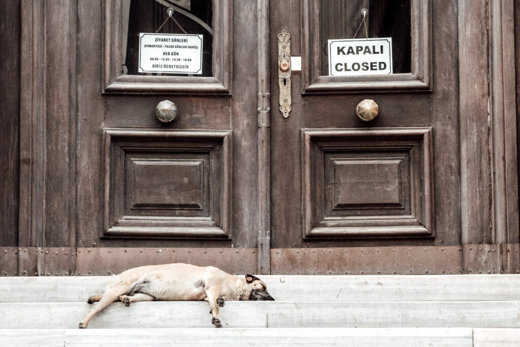 Ein Straßenhund mit Ohrmarke schläft vor einer verschlossenen Tür in Istanbul.