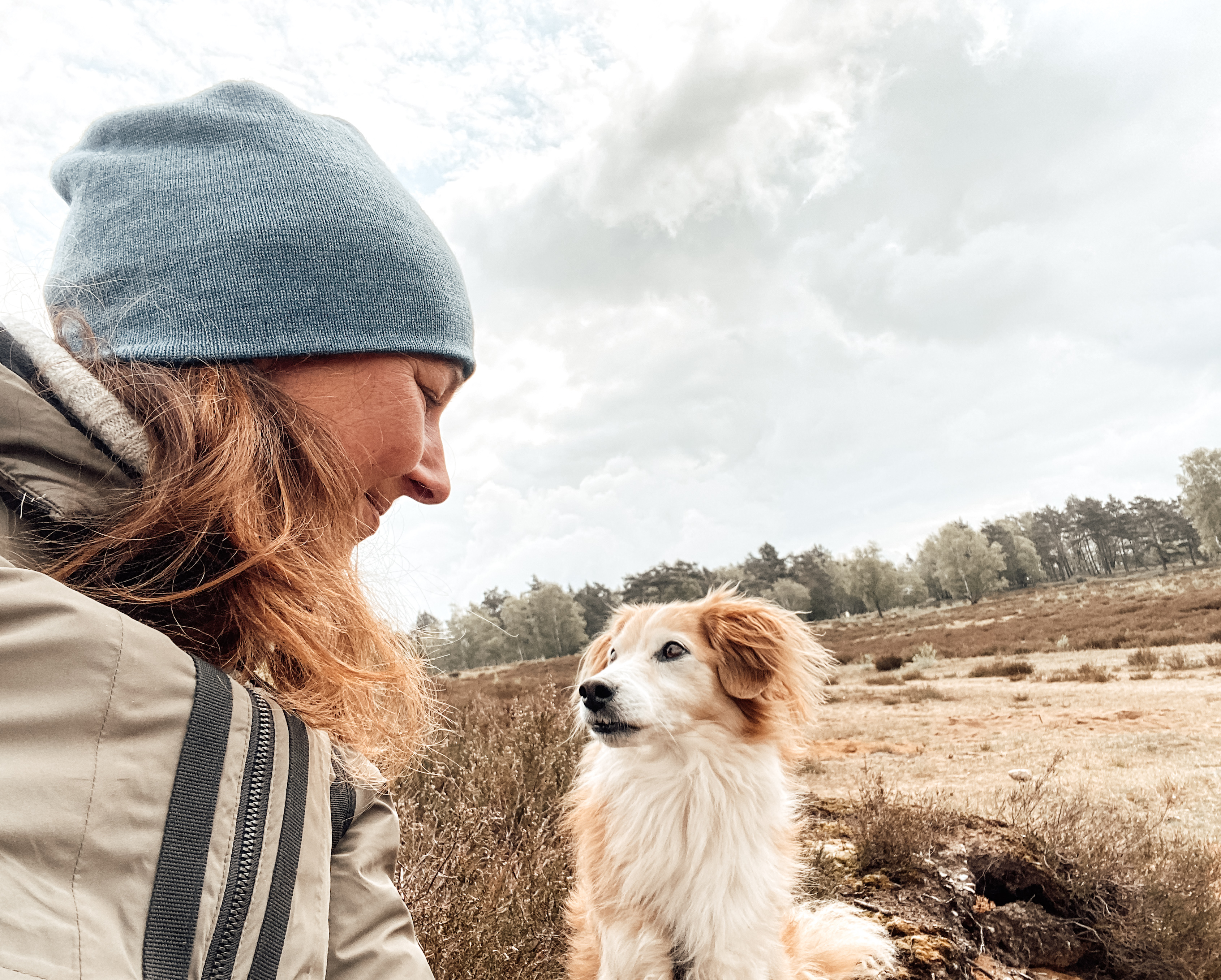 Mensch und Hund blicken sich in Heidelandschaft an – ein stiller Moment von Vertrauen und Nähe 