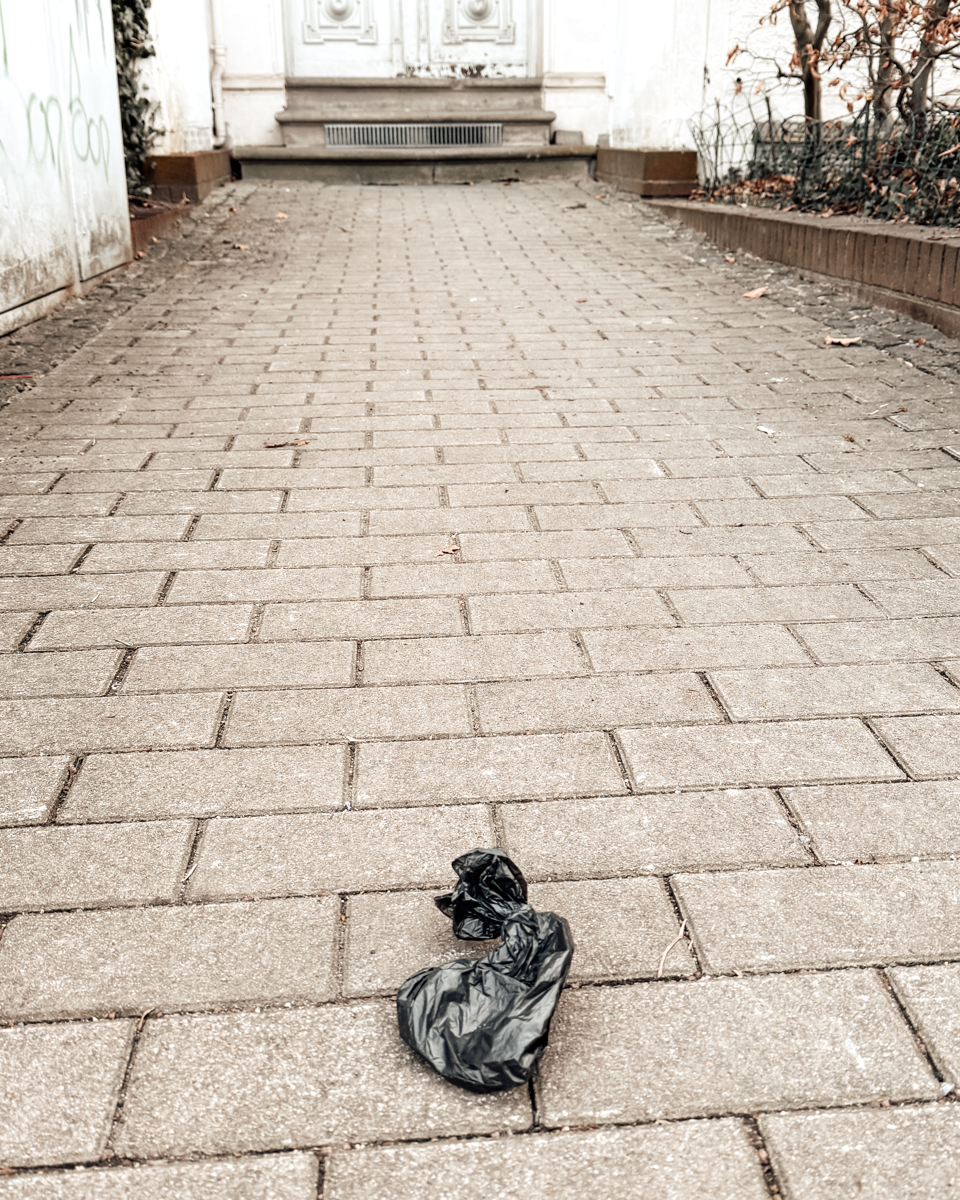 Ein schwarzer Hundekotbeutel liegt auf einem Gehweg vor einer Haustür 