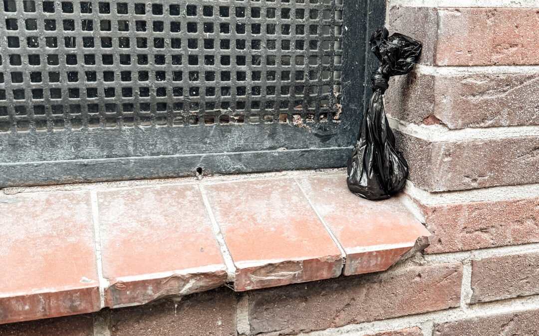 Weg mit der braunen Scheiße