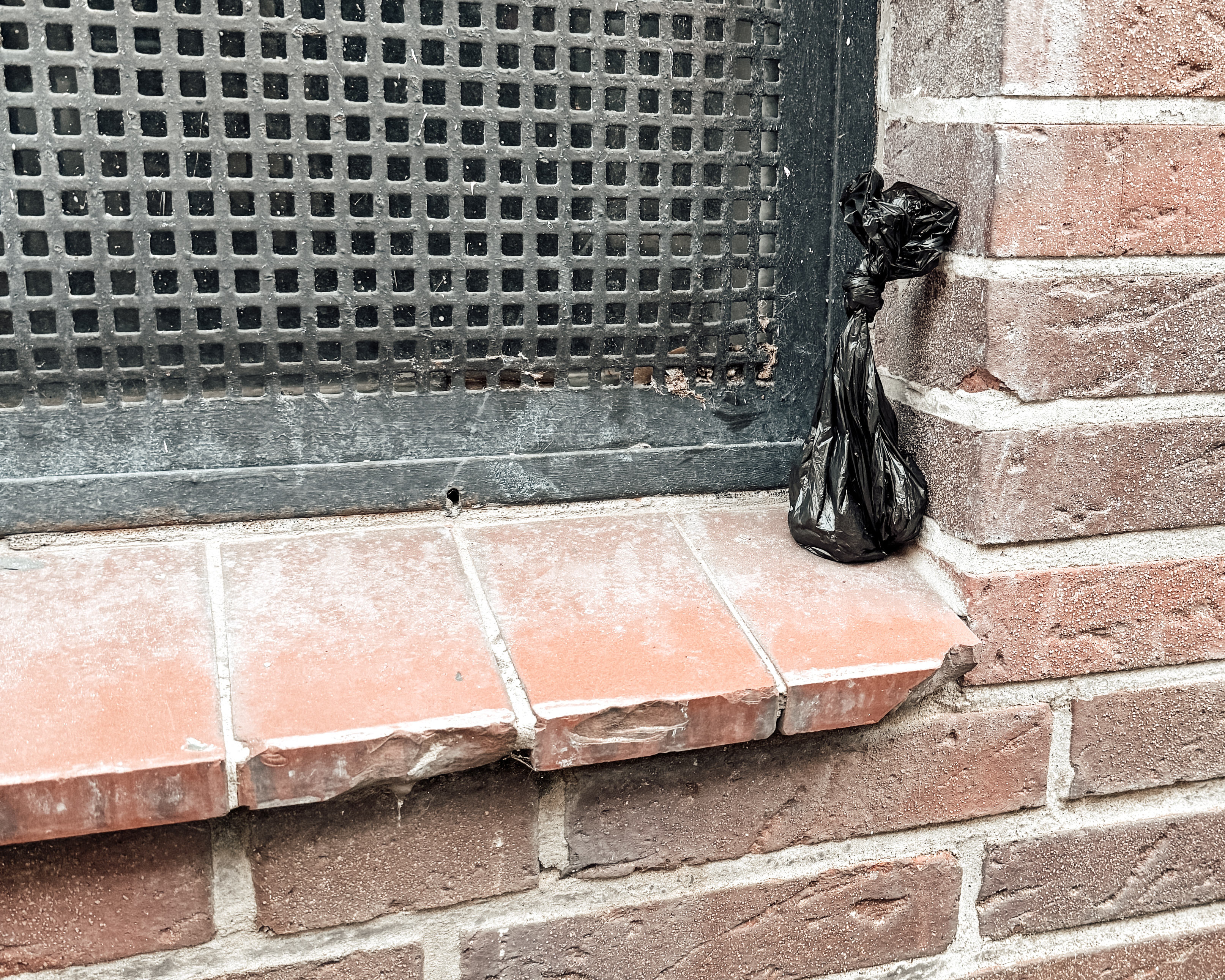 Schwarzer Hundekotbeutel, auf einem Mauersims im öffentlichen Raum abgelegt