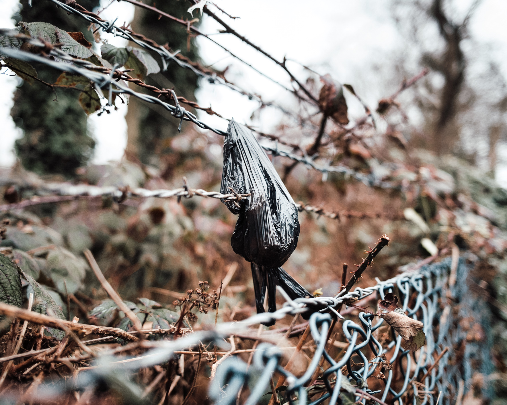 Ein schwarzer Hundekotbeutel hängt in einem Stacheldrahtzaun 