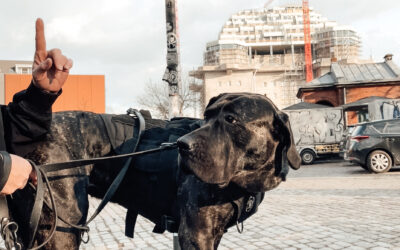 Der erhobene Zeigefinger